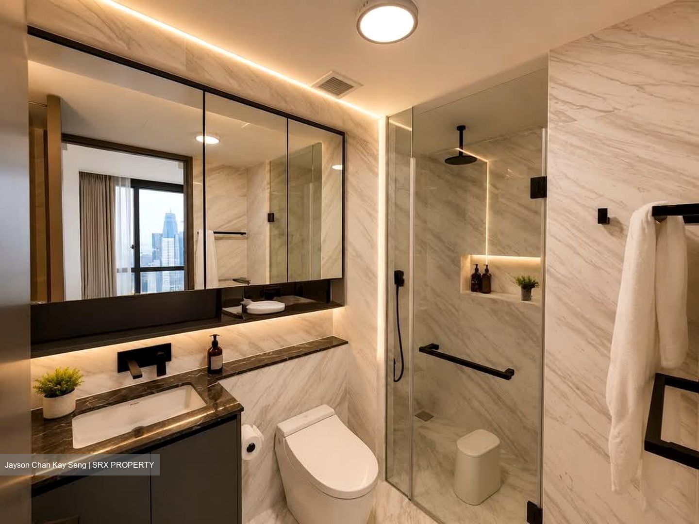 The Landmark (D3), Condominium #578086321